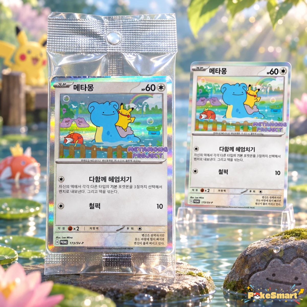 2025 Ditto Promo Card(173/SV-P) [Korean Exclusive] booster box and chase card